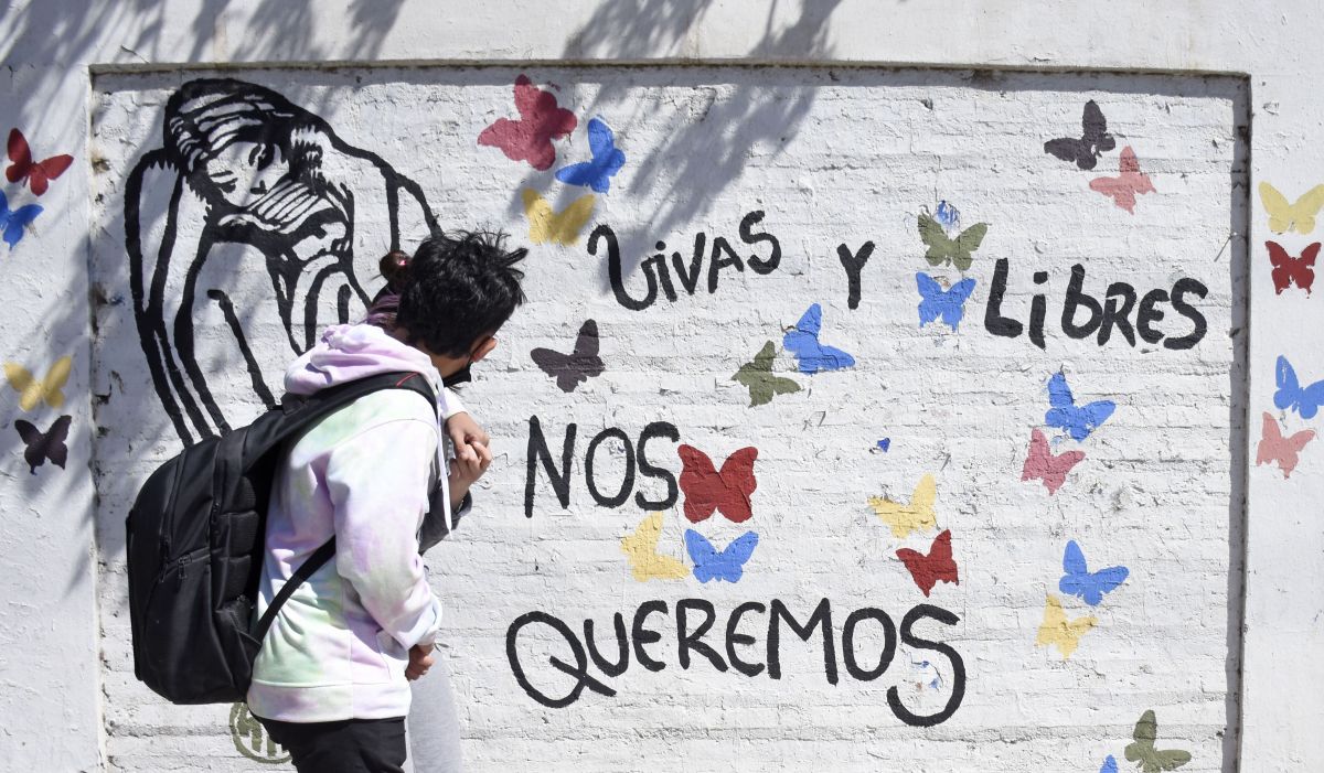 La comisión fue creada por la Legislatura en mayo pasado, tras el femicidio de Guadalupe Curual, de 20 años, en Villa La Angostura. Foto Florencia Salto.