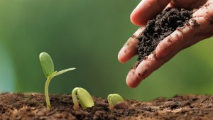 Cipolletti: Encuentro Regional Agroecológico en el mes de la Soberanía Alimentaria