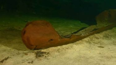 Espectacular hallazgo en México: una canoa maya prehispánica de 1.000 años de antigüedad