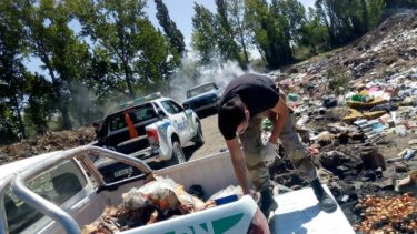 Decomisaron más de 500 kilos de carne en General Conesa