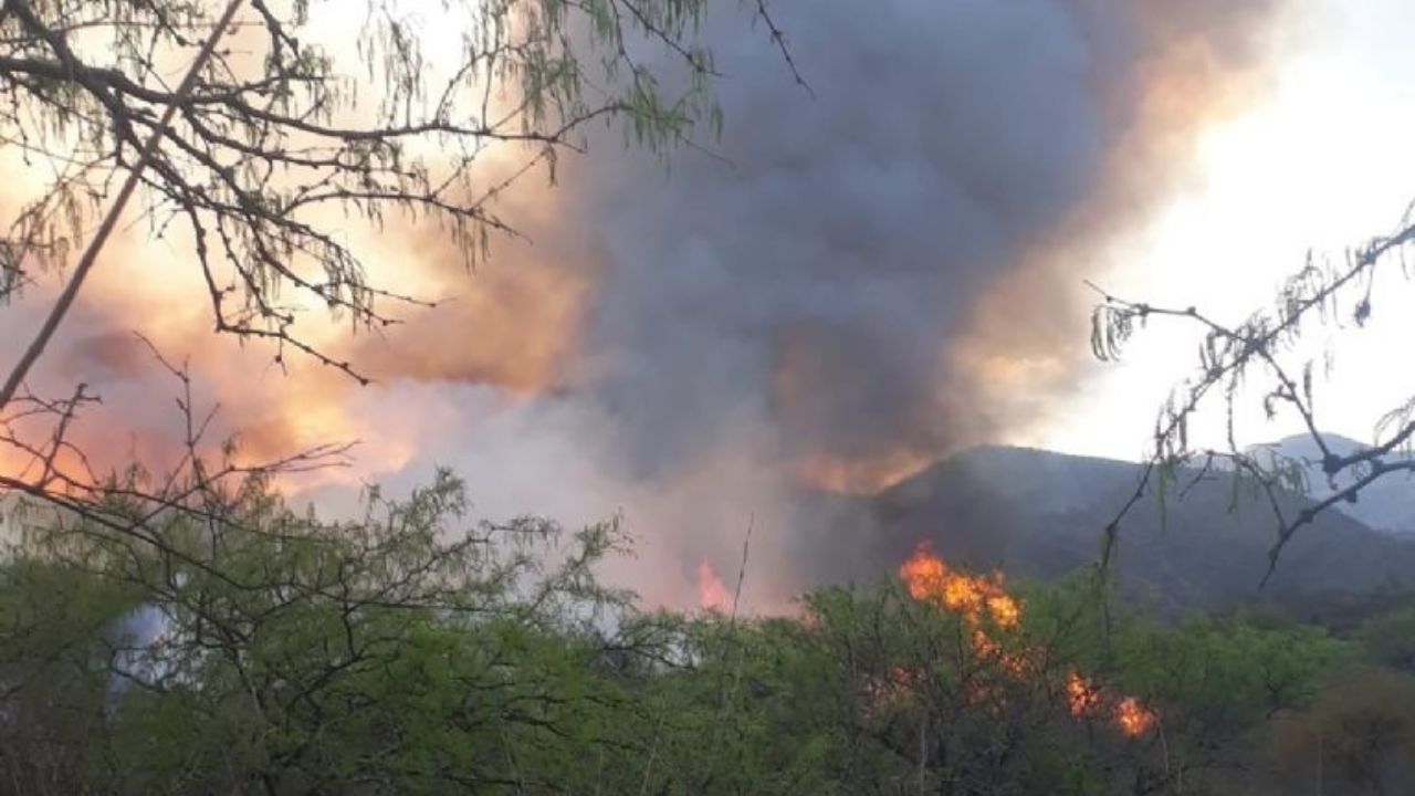 Catamarca es una de las provincias donde se registraron incendios forestales.