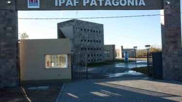 El Inta consolida su rol estratégico en la agricultura familiar