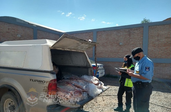 El vehículo fue llevado a Bromatología y se decomisó la carne porque era transportada sin refrigeración. (Prensa Policía de Neuquén)