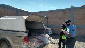 Traían desde La Pampa a Añelo más de 80 costillares en la caja de la camioneta