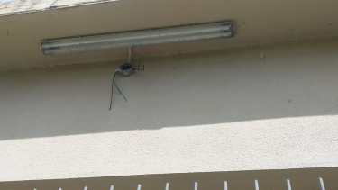 Los ladrones se llevaron más de 60 metros de cables del patio de la escuela  N° 35. foto: gentileza