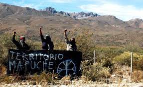 La existencia de Resistencia Ancestral Mapuche (RAM) fue reivindicada por Facundo Jones Huala.