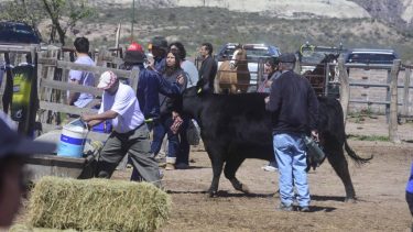 La expo rural vuelve el fin de semana con muchas actividades para toda la familia. foto: archivo.