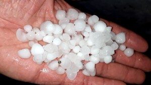 Granizo afectó 400 hectáreas entre Godoy y Regina