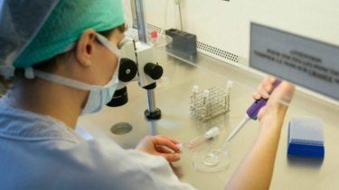 Deberán garantizar la reproducción asistida a una joven de Cipolletti. (archivo)