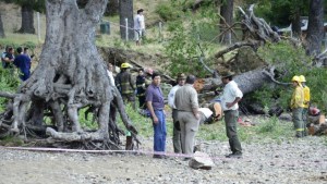 Cuestionan el procesamiento de guardaparques por la muerte de dos niños al caer un árbol