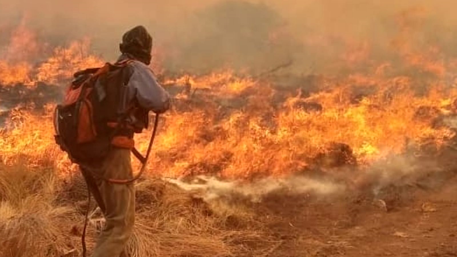 El viento y el clima seco dificultan el combate de las llamas. 