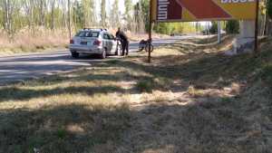 Motociclista murió al chocar con un cartel en la zona rural de Regina
