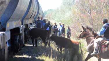 Un accidente de tren provocó el deceso de una persona en Stefenelli, a metros del club de Rugby. (Foto Cesar Izza)