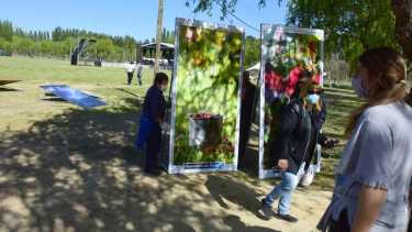 Ya está todo en condiciones para la Fiesta de la Sidra.