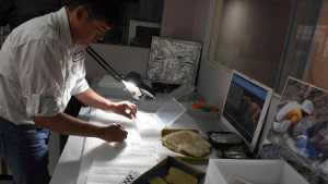 Hallazgos ayudan a revelar cómo era Paso Córdoba hace 70 millones de años