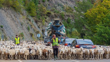 Arrieros en la ruta de los pirineos españoles. Foto: Ricardo Kleine Samson.