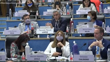 El proyecto recibió el apoyo mayoritario del cuerpo. Foto: captura de video.