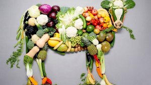 Veganismo: 8 términos para entender las distintas formas de alimentarse sin derivados animales