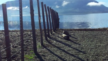 Piden una normativa que restrinja el poder de dominio y posibilite el acceso a las costas.
