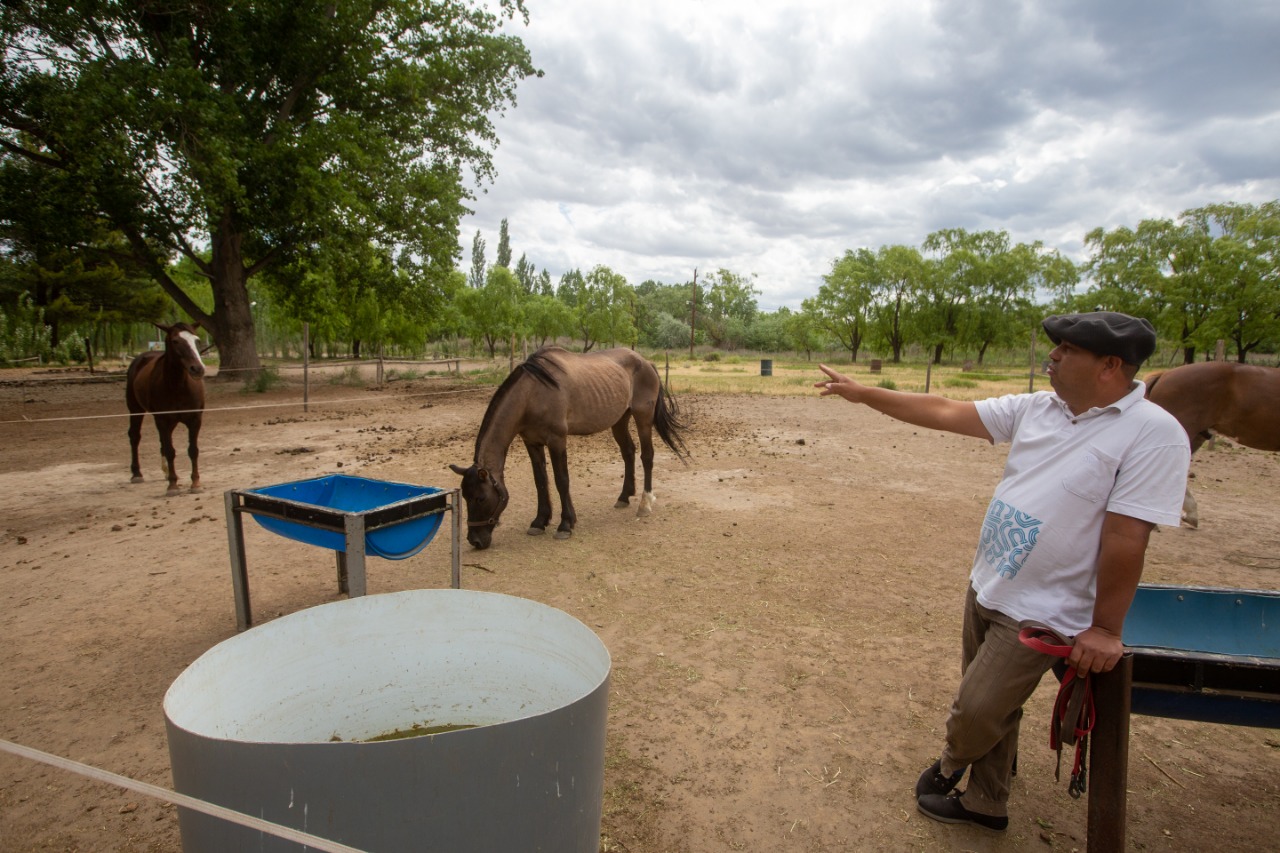 Se trabaja en contacto con la naturaleza y los caballos. Eduardo sostuvo que cuando le demuestran cariño, ellos comienzan a confiar. Foto: Juan José Thomes.