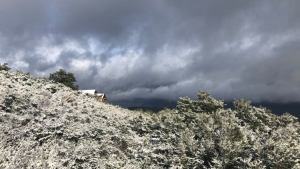 Pronóstico: ¡Brrr! Estas mínimas te van a sorprender este viernes en la región