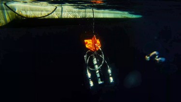 A diferencia de una “cámara a la deriva”, el ROV puede moverse de manera independiente. Gentileza