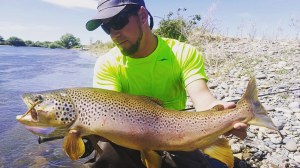 Las grandes truchas del Limay Medio: diciembre es un mes ideal para la pesca con mosca