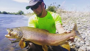 Las grandes truchas del Limay Medio: diciembre es un mes ideal para la pesca con mosca