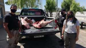 Decomisaron 200 kilos de carne vacuna y de pollo en el ingreso a Huergo