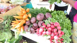 Vení y participá de la Feria de la Agricultura Urbana que se hace en Neuquén capital