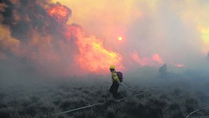 Ocho brigadistas de incendios forestales para 8.000 hectáreas en La Angostura
