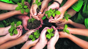Educar para hacer frente al cambio climático