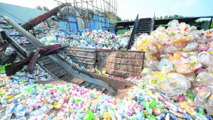 El valor de la educación en la economía circular