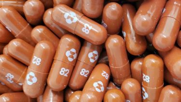 El molnupiravir trata con éxito los síntomas del coronavirus. 