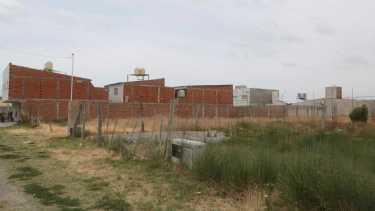 Los terrenos se sortearon el viernes por la mañana. Foto: Juan Thomes.