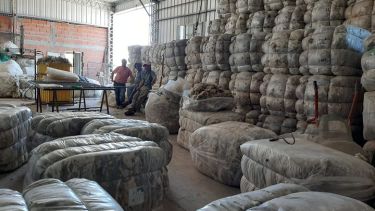 Los productores lograron reunir más de 30.000 kilos de lana para vender en forma asociada. Foto: gentileza. 