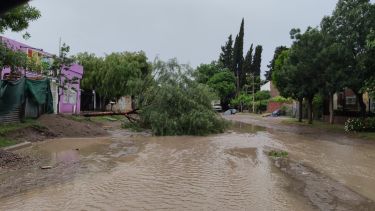 Alerta amarillo por viento intenso y tormentas: cayó granizo en Valle Medio