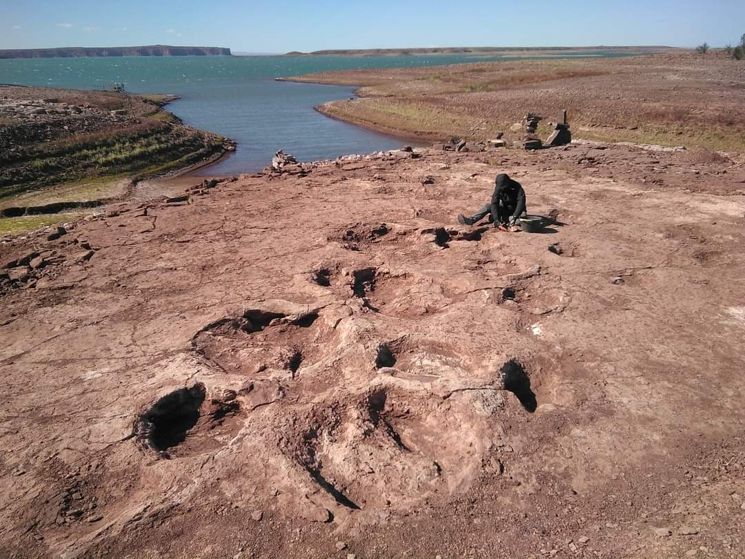 Hay en Villa El Chocón huellas de dinosaurios carnívoros y herbívoros. Foto: Gentileza Facebook Municipalidad de Villa El Chocón. 