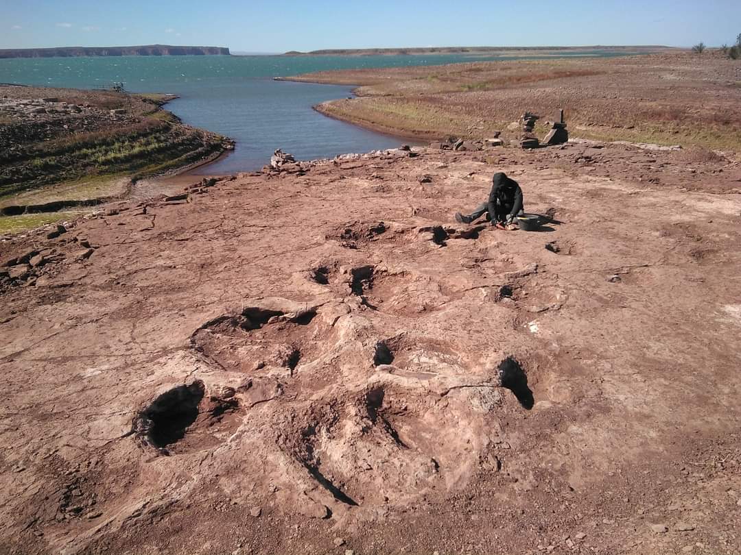 Hay en Villa El Chocón huellas de dinosaurios carnívoros y herbívoros. Foto: Gentileza Facebook Municipalidad de Villa El Chocón. 