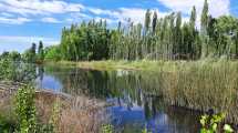 Imagen de La Justicia intimó a la ciudad de Neuquén frenar los rellenos en los humedales del Limay