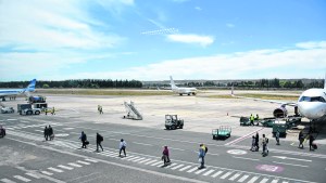 Buscan reflotar la exportación de frutas desde el aeropuerto de Neuquén