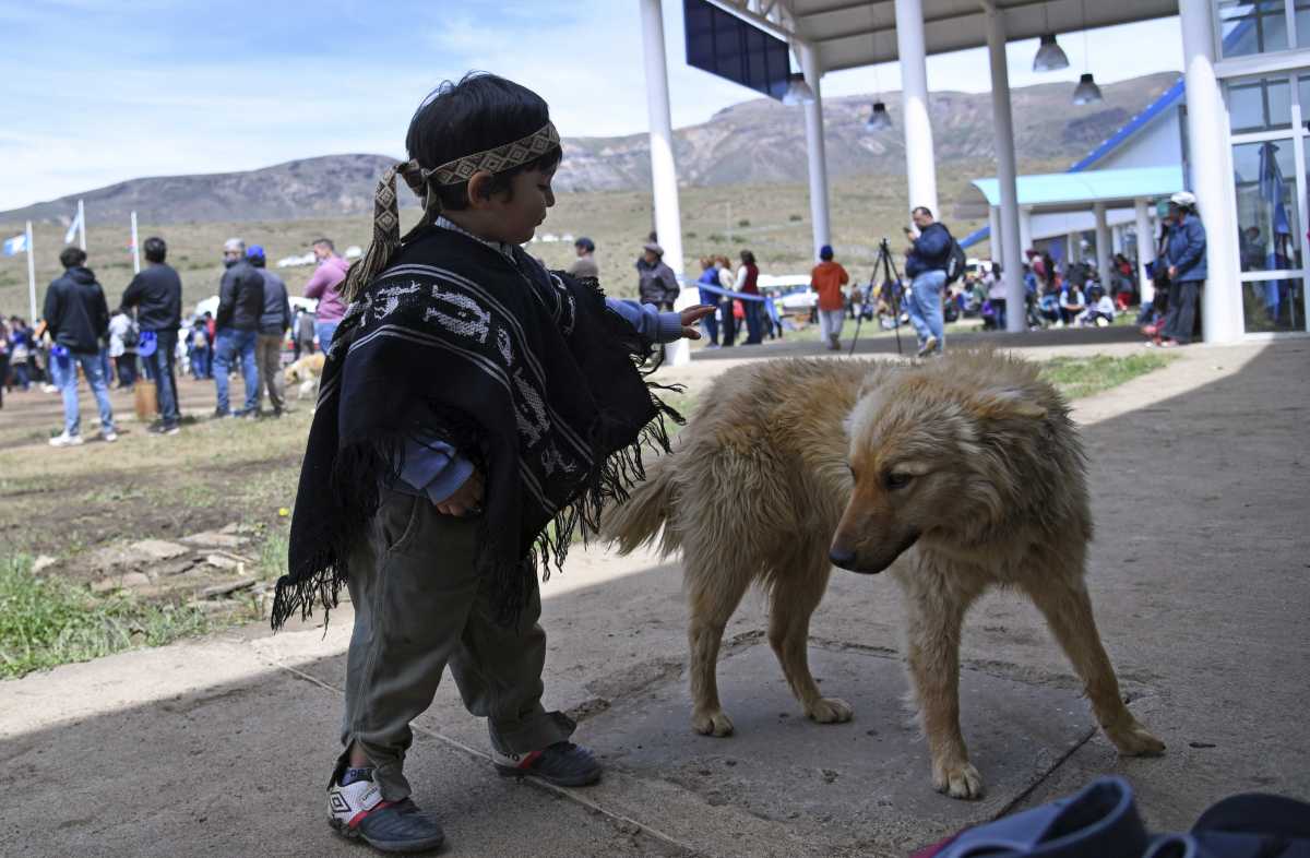 Un niño de la comunidad se divierte con un perro en la inauguración del centro. Foto: Florencia Salto.