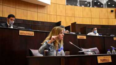 La diputada Lorena Parrilli presentó el proyecto. Foto: Florencia Salto.