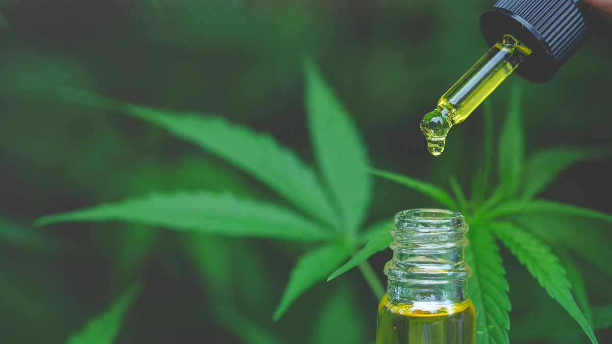 Se aprobó el proyecto para la investigación del cultivo de cannabis con fines terapéuticos. 