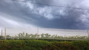 Pronóstico: ¿cómo estará el tiempo este jueves?