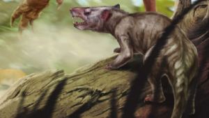 Confirman que en Comallo se halló un fósil de millones de años de cuatro patas, similar a un hurón
