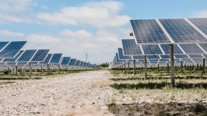 Cammesa prevé incorporar 478 MW de energía renovable hasta abril de 2022