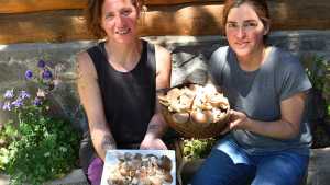Pehuenia: dos hermanas cuentan cómo cultivan gírgolas de modo sustentable
