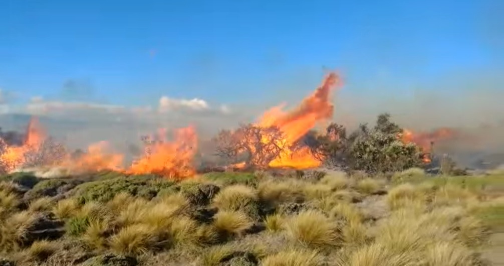 Con la velocidad del viento en la zona de Bariloche, las llamas del incendio se propagaron rápidamente demandando la participación de varios organismos. Foto: Captura de video. 