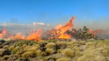 Con la velocidad del viento en la zona de Bariloche, las llamas del incendio se propagaron rápidamente demandando la participación de varios organismos. Foto: Captura de video. 